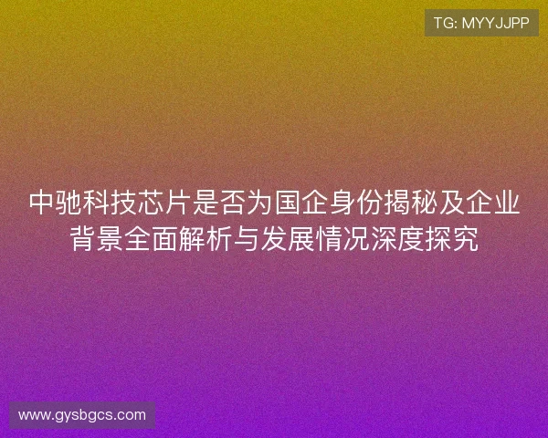 中驰科技芯片是否为国企身份揭秘及企业背景全面解析与发展情况深度探究